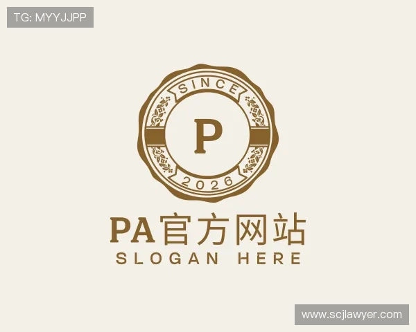 了解pa集团